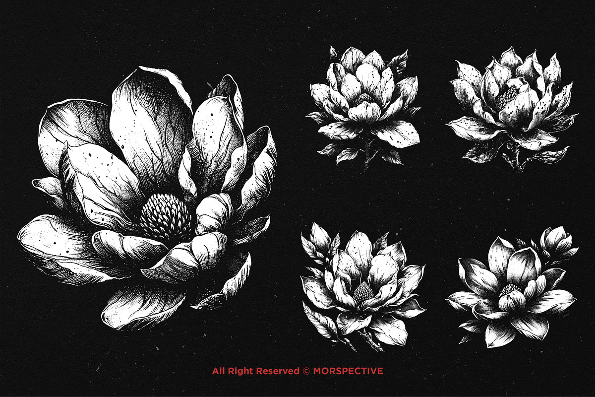 10 Bundle Dark Art Magnolia Flower, an Illustration by Morspective (Photo 3 of 7)