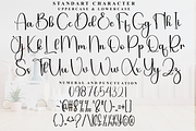 Shella, a Handwritten Font by FreshTypeINK (Thumbnail 2 of 8)
