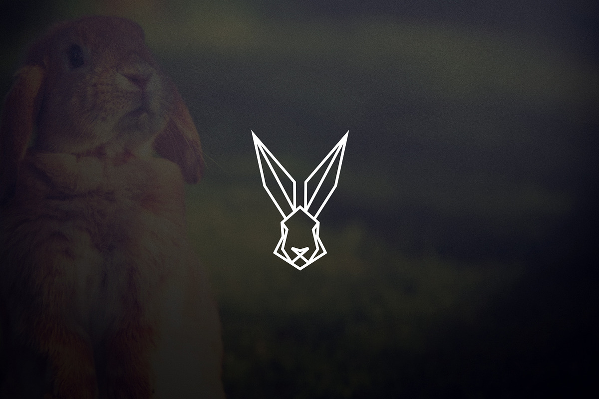17 Geometric Animal Icons and Logos, a Branding & Logo Template by VP Fonts (Photo 6 of 33)