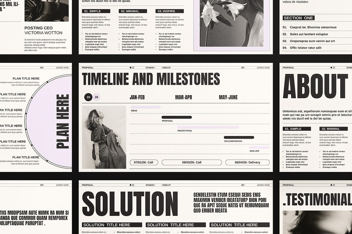Proposal Presentation Template preview 5