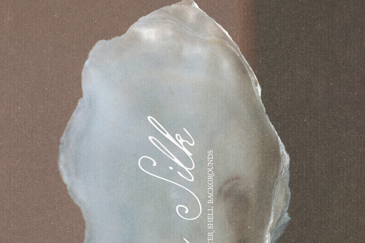 Oyster Silk | Shell Textures, a Background Graphic by Purple (Photo 6 of 8)