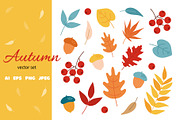 Autumn collection. Fall Leaves PNG, an Illustration by Mila_art (Thumbnail 1 of 2)
