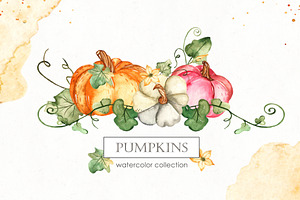 Pumpkins Watercolor Collection