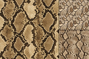 Realistic Python Skin Pattern, a Pattern Graphic by Artonix (Thumbnail 3 of 3)