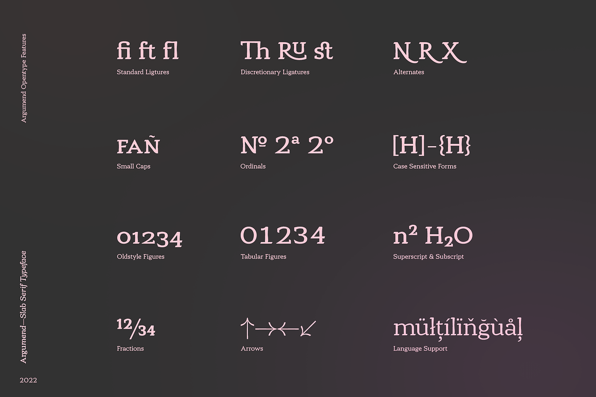 Argumend | A Humanistic Slab Serif, a Slab Serif Font by Ayca Atalay (Photo 6 of 8)