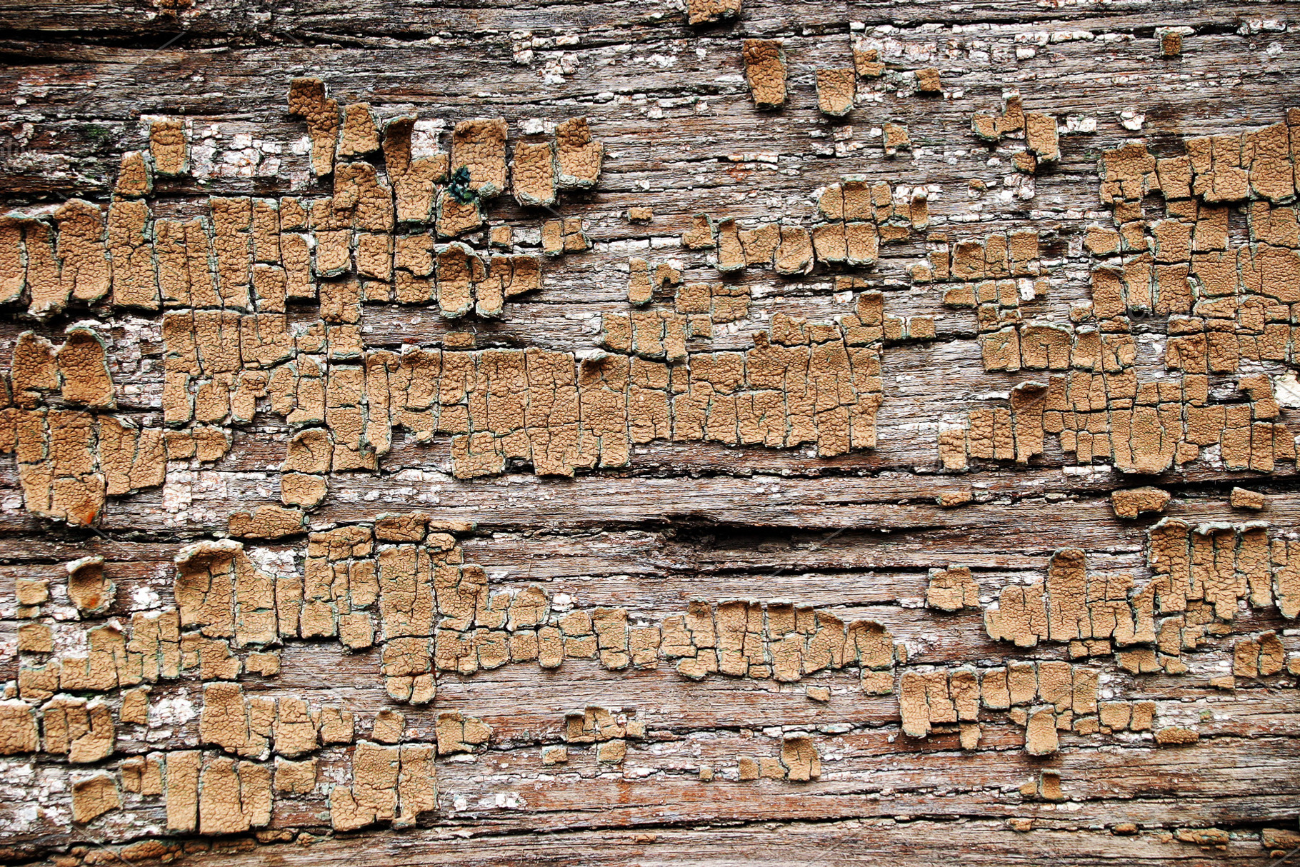 Cracked abstract grunge structure, a Photo by saiko3p
