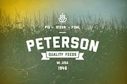 7 Classic Logos/Insignias 01, an Object Graphic by ODDS & ENDS (Thumbnail 4 of 5)