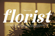 Raillinc Modern Display Serif Font, a Font by Storytype Studio (Thumbnail 8 of 19)