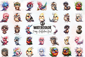 Funny Australian Bird Clipart, an Animal Illustration by Designworld