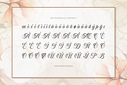 Artho Willians | Beauty Calligraphy, a Font by Denustudios (Thumbnail 11 of 12)