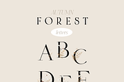 Autumn and Winter FOREST -watercolor, a Seasonal Illustration by Youksy (Thumbnail 27 of 29)