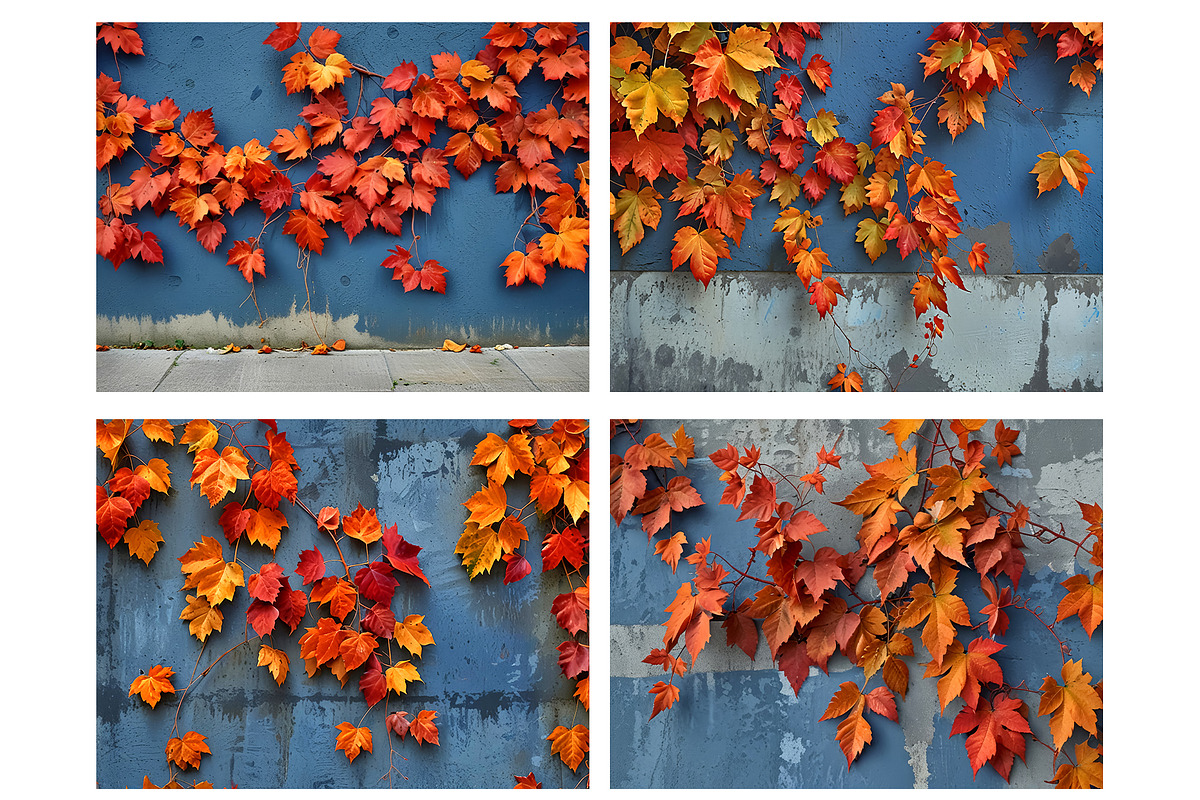 Autumn mood - 23 images, a Nature Photo by Ligrenok Art (Photo 5 of 5)