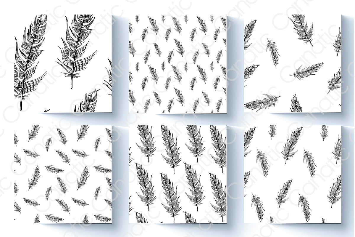 Feather. Sketch and patterns, an Illustration by Canatic (Photo 3 of 7)
