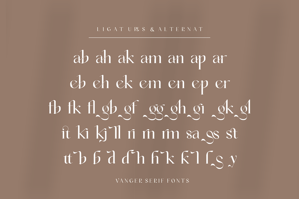 Vanger _ modern serif font, a Serif Font by Penatic Studio (Photo 9 of 10)