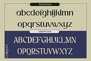 Callyori Sans - Modern Clean Font, a Sans Serif Font by Sanskertype Studio (Thumbnail 4 of 10)
