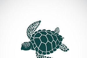 Vector Of Turtle Design. Wild Animal