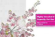 Flowers Digital Collage Pack, an Object Graphic by Collage Supply Co (Thumbnail 2 of 3)