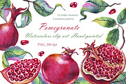 Watercolor pomegranates png clipart, an Illustration by Alena Kurian (Thumbnail 1 of 4)