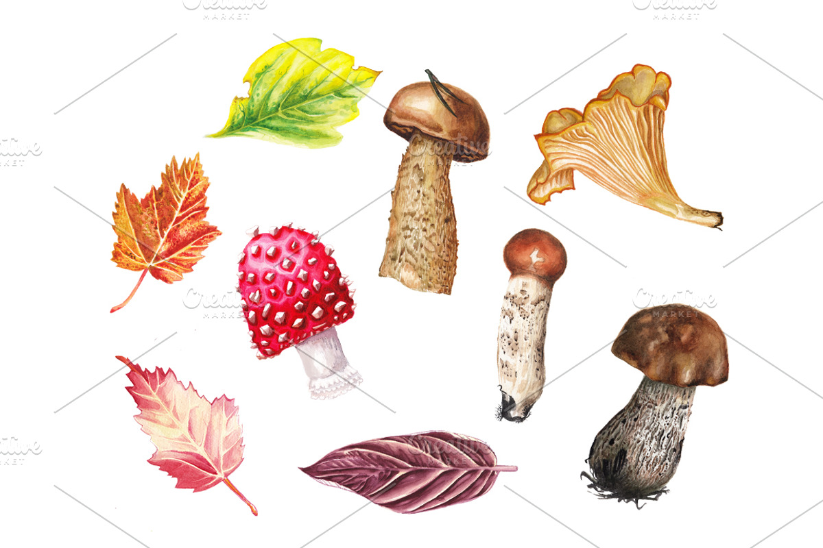 Watercolor autumn set, a Pattern Graphic by lenavetka87 (Photo 1 of 3)