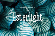 Asterlight typeface, a Serif Font by NREY (Thumbnail 8 of 8)