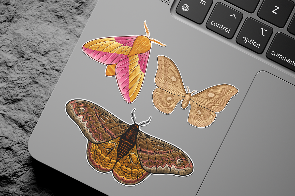 Moth Illustration Vector Set, an Illustration by Kusumaillustration (Photo 9 of 11)