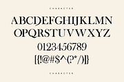 Dyntra - Modern Serif Font, a Font by HAN (Thumbnail 2 of 10)