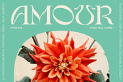 Amour Modern Display Logo Serif, a Sans Serif Font by Mila Garret (Thumbnail 1 of 27)