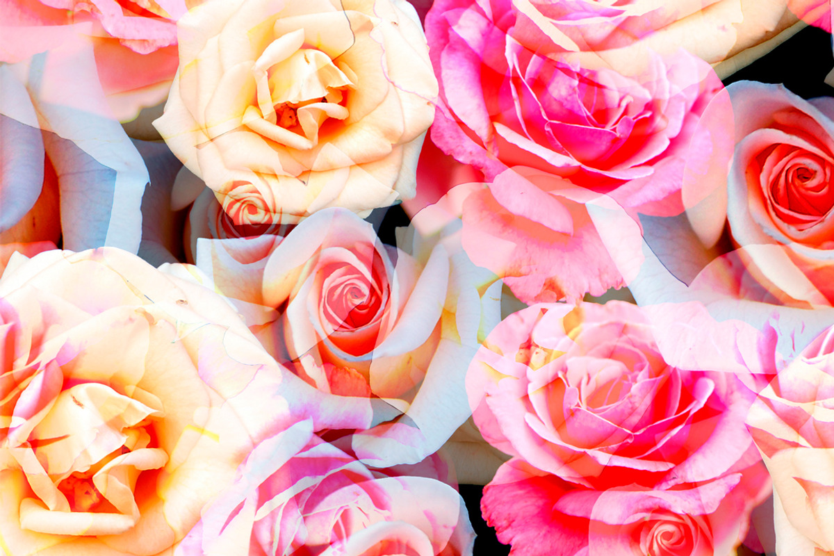 Beautiful seamless floral patterns., a Pattern Graphic by zeffir (Photo 3 of 3)
