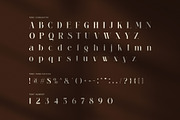 Wiilamik Elegant Serif Font, a Serif Font by Perfectype (Thumbnail 7 of 8)