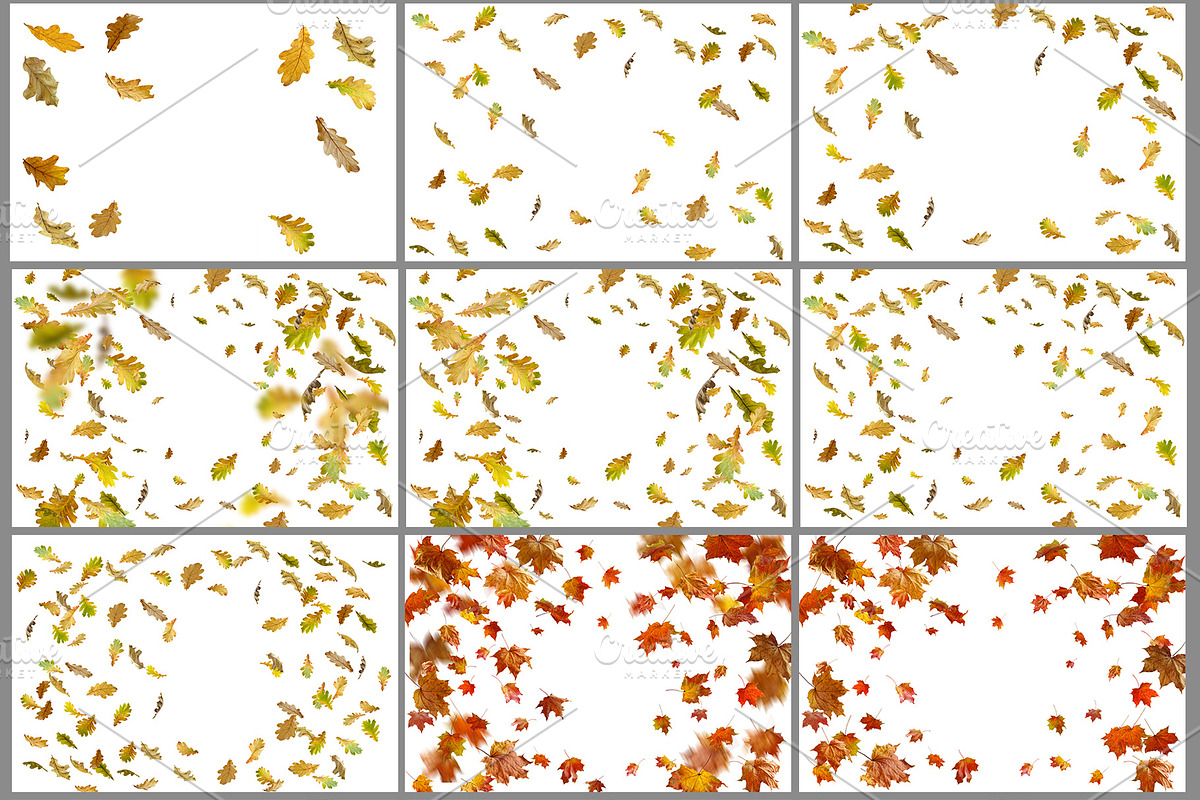 Leaves Overlays preview 3