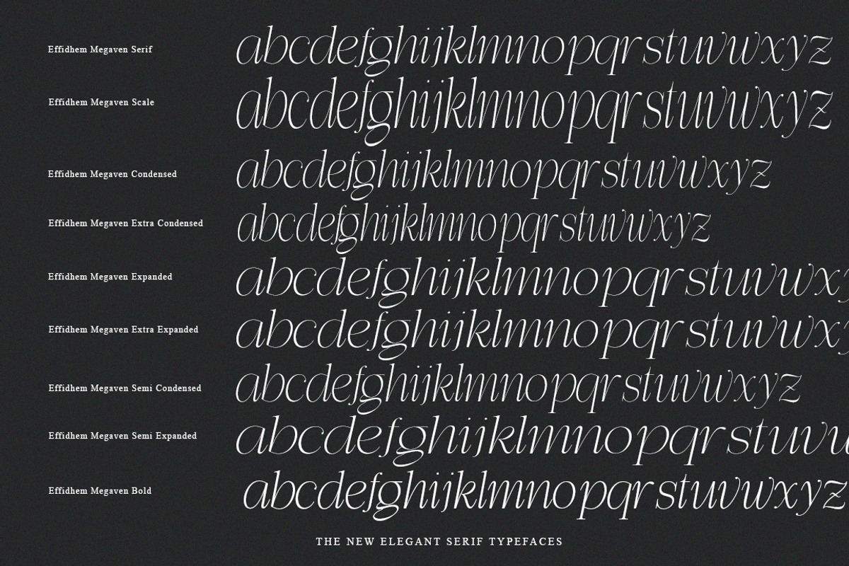 Effidhem Mevagen | 18 Font Files, a Serif Font by IM Studio (Photo 13 of 14)