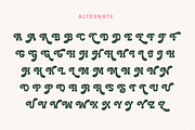 Holiday Mango - Retro Slab Font, a Slab Serif Font by HansCo Studio (Thumbnail 9 of 11)
