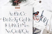 Huge Winter Woodland Scene Creator, an Animal Illustration by Busy May Studio (Thumbnail 11 of 14)