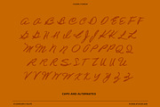 VS Grandma's Recipe Handwritten Font, a Script Font by Vicarel Studios (Thumbnail 15 of 16)