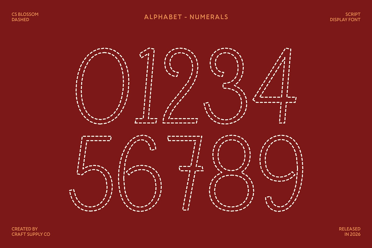 CS Blossom Dashed, a Script Font by Craft Supply Co. (Photo 6 of 8)