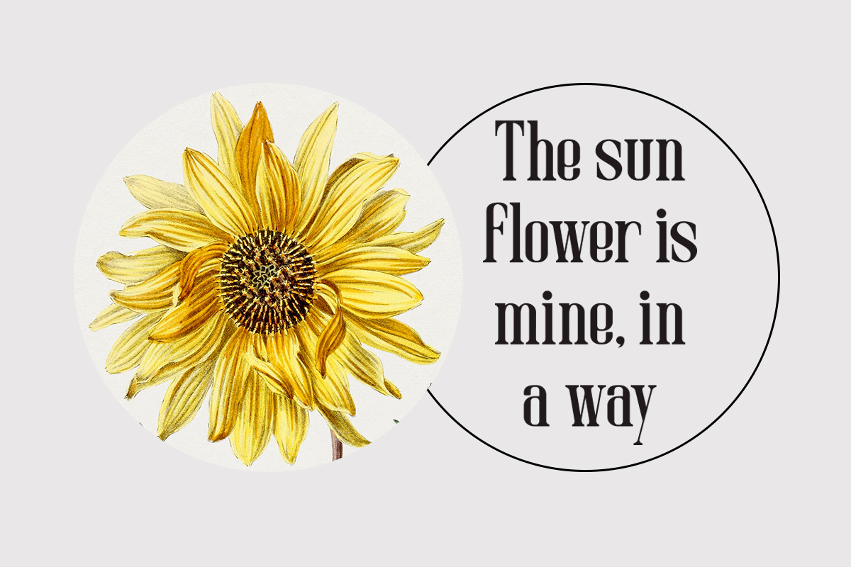 Mitten - Movie Title Font, a Serif Font by Sohel Studio (Photo 9 of 12)