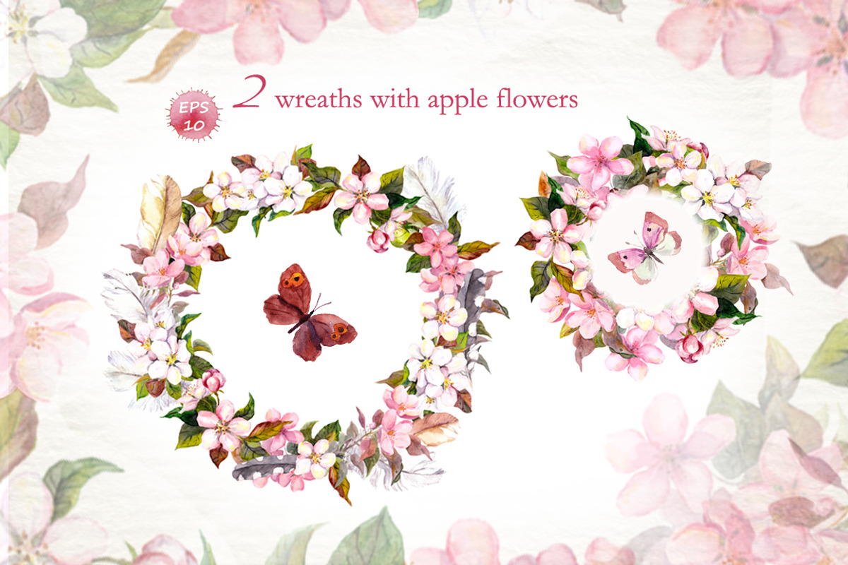 Apple flowers set. Watercolor vector, an Illustration by Where summer is (Photo 4 of 5)