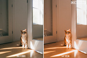10 GOLDEN HOUR Lightroom Presets, a Preset Add-On by MaPresets (Thumbnail 7 of 18)