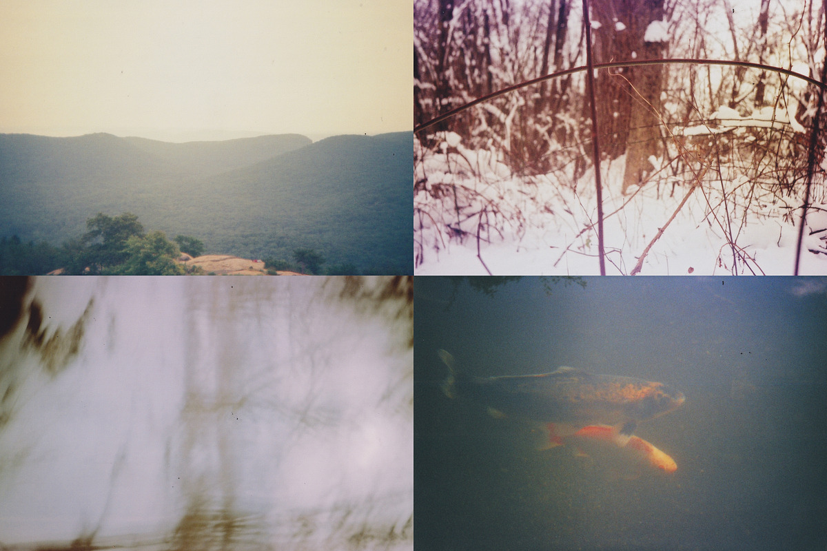 45 Nature Snapshots (Lomo LC-A), a Nature Photo by Studio Rho (Photo 2 of 11)