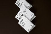 Ginka Voraxe – Modern Stylish Serif, a Serif Font by Mahesans Co (Thumbnail 5 of 11)