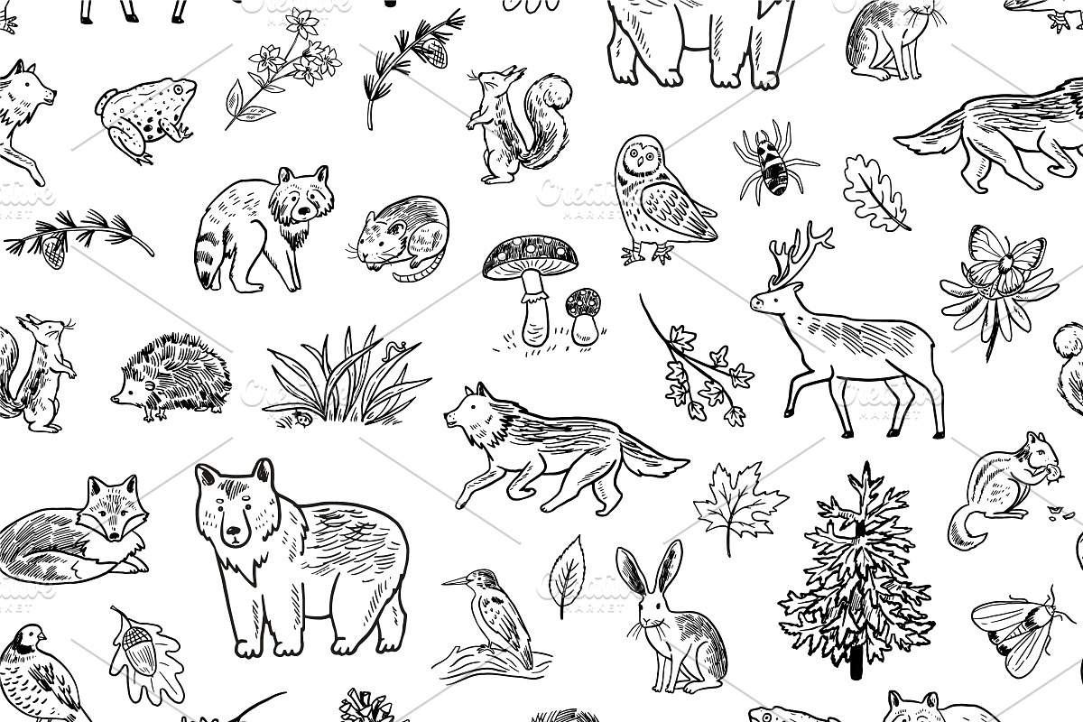 Woodland Alphabet, an Animal Illustration by GooseFrol (Photo 9 of 10)