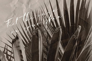 Bay Area Font Family, a Script Font by Spasibenko Art (Thumbnail 16 of 18)