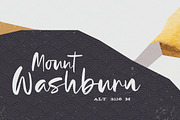 Yellowstone, a Script Font by StereoType (Thumbnail 3 of 11)