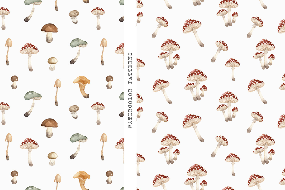 Mushrooms Watercolor Clipart, an Education Illustration by Ooh Lily (Photo 6 of 8)