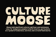 Weird Vault - Display Bold Font, a Handwritten Font by Bale Type (Thumbnail 2 of 9)