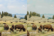15 Outdoor Lightroom Presets, a Preset Add-On by TheWayfarerShoppe (Thumbnail 3 of 9)