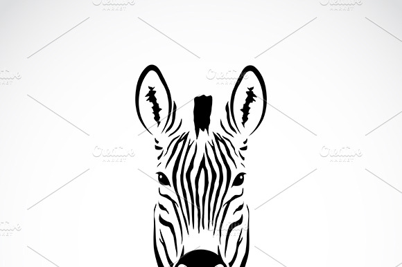 Vector Of An Zebra Head. Animal.