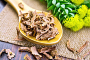 Root dry of Rhodiola rosea in spoon, a Food & Drink Photo by rezkrr (Thumbnail 1 of 5)