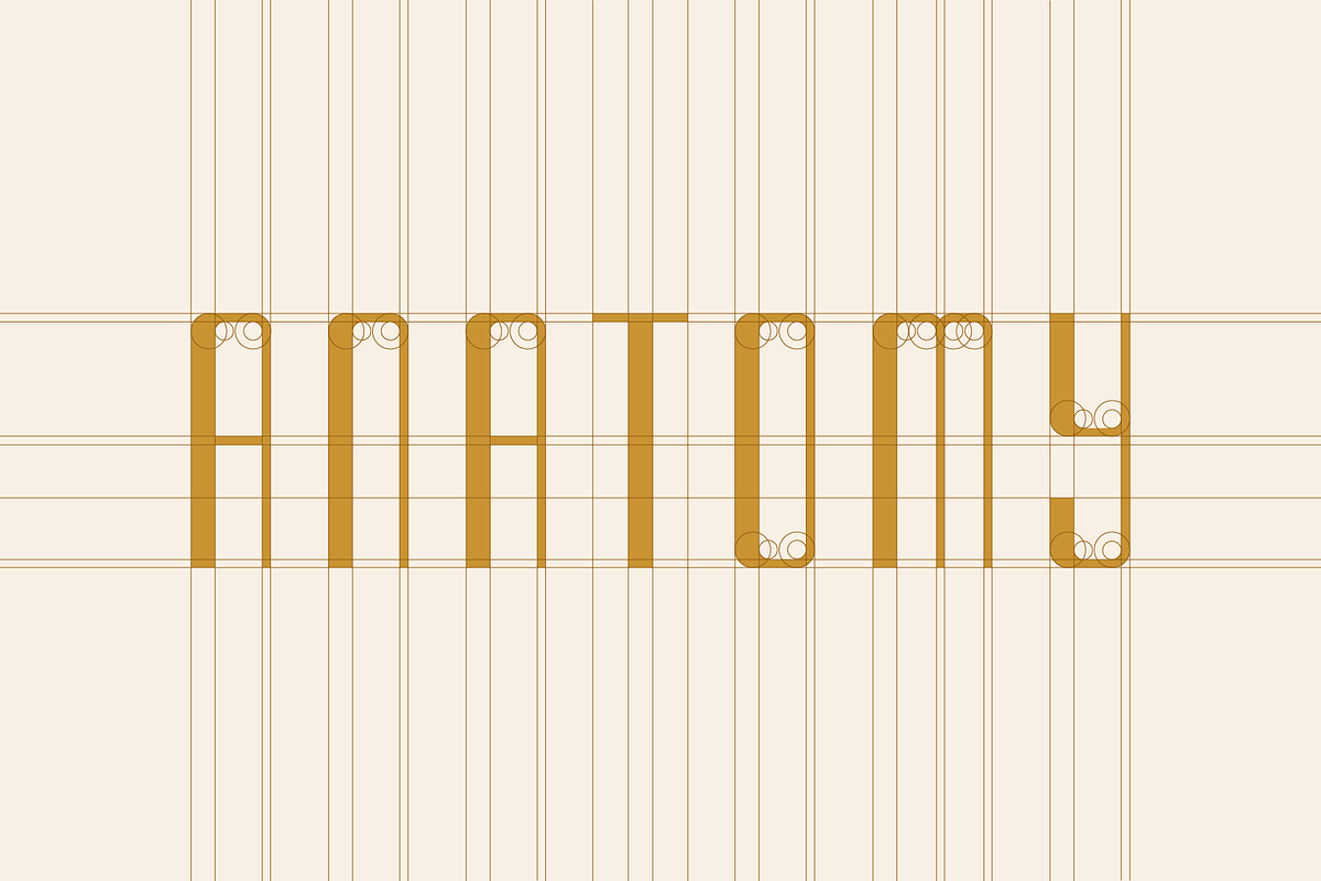 Romanova – A Luxury Font Family, a Sans Serif Font by alpercakici (Photo 3 of 19)