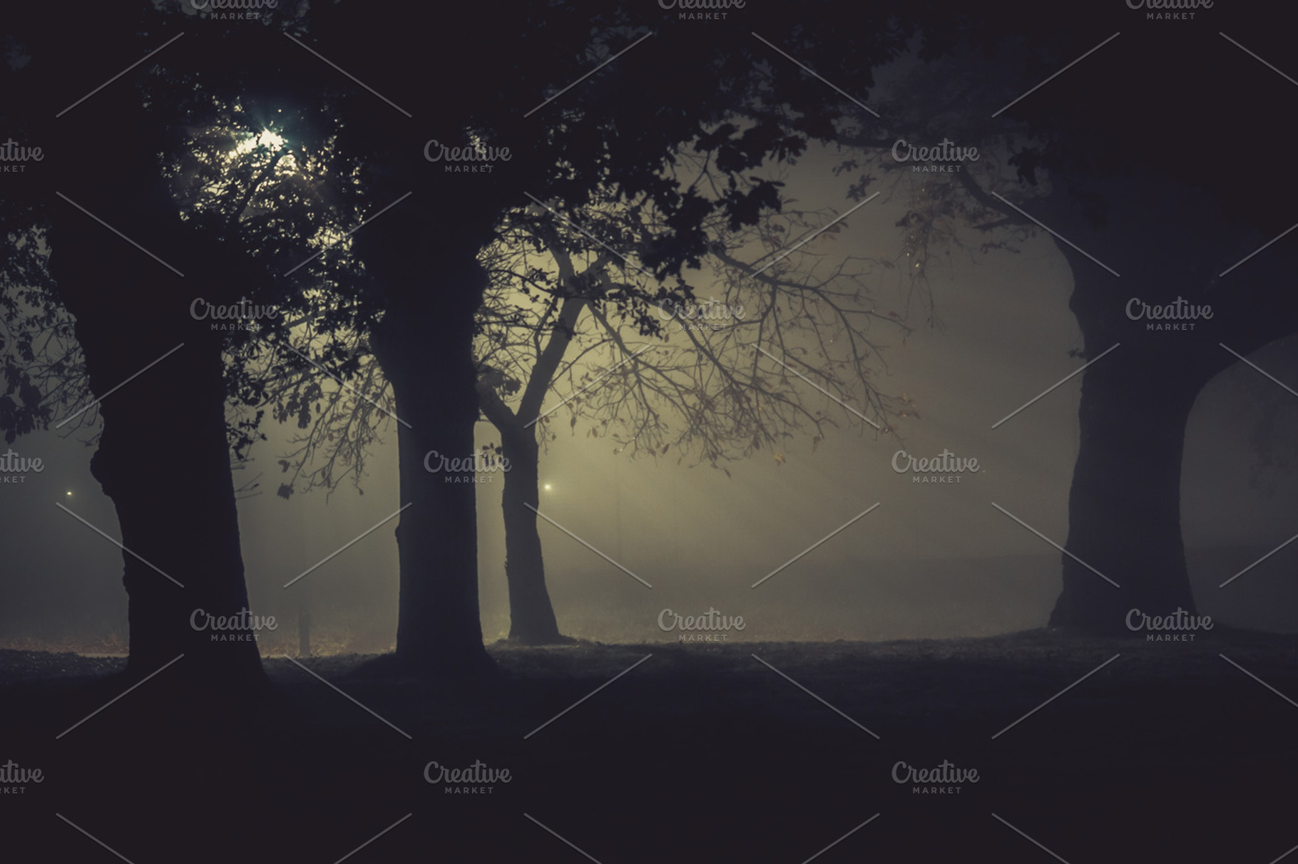 Where is the Werewolf?, a Transportation Photo by The Cromarie